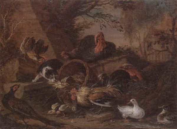 Still life of fowl in a farmyard,with a cat stealing a bantam chick, unknow artist